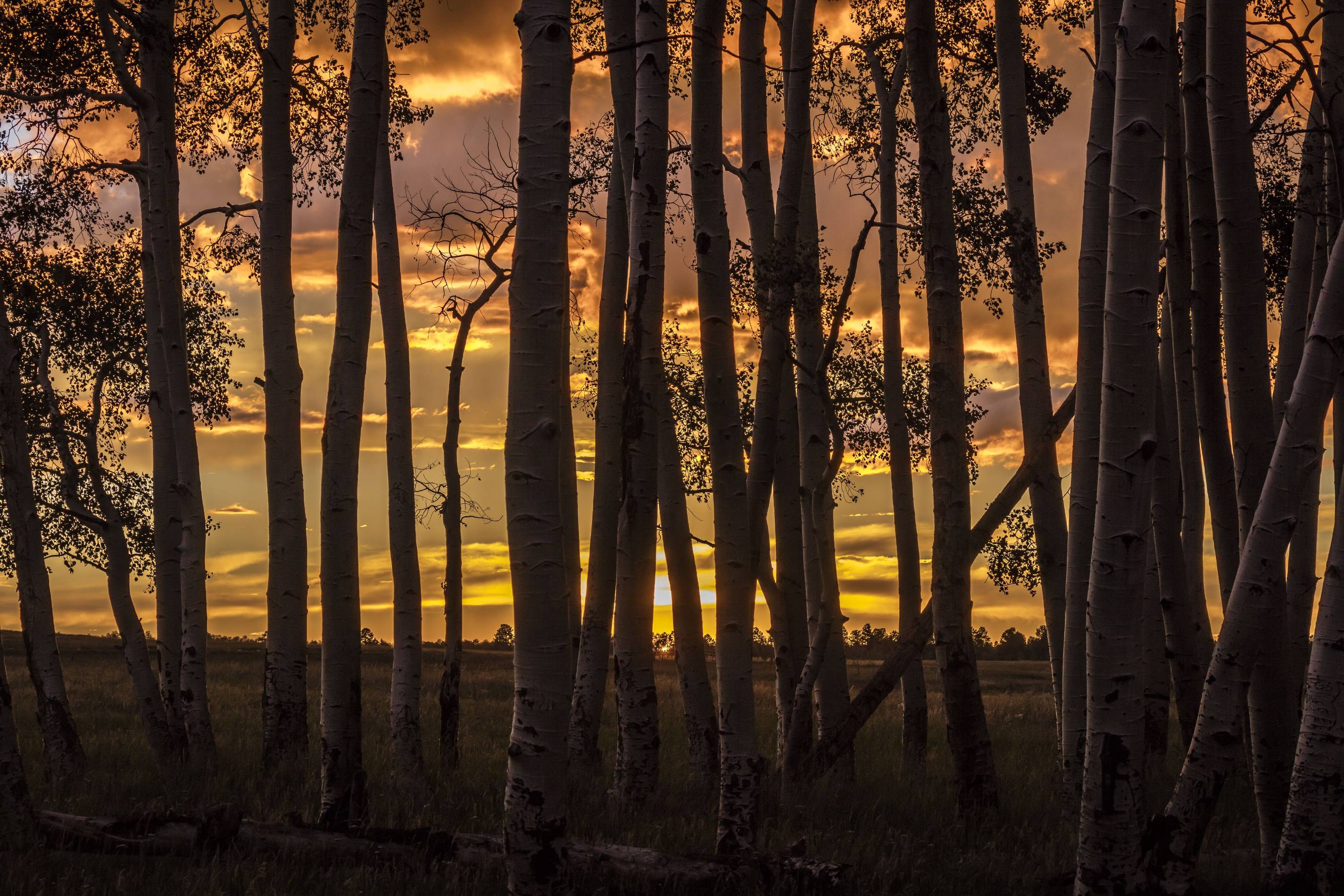 Best Places to Watch the Sunset in Aspen